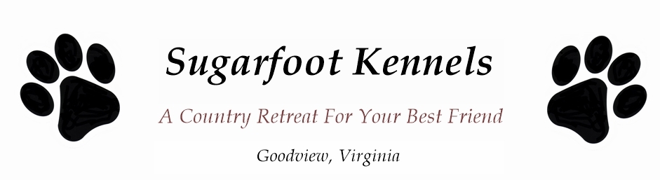 Sugarfoot Kennels